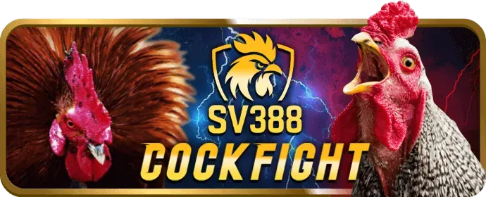 Hoàn trả cược thua 33win999